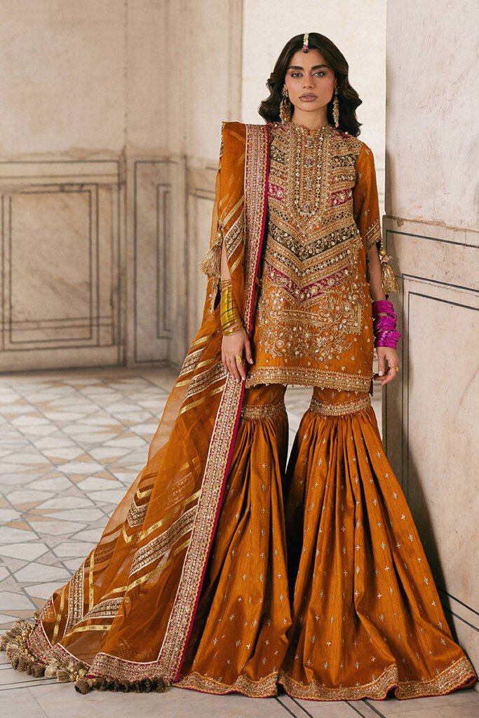 Mohsin Naveed Ranjha Ranjish Embroidered Organza Party Wear Suit - Model Front Look | Pakistani Designer Replica Wholesale | IQNAZ