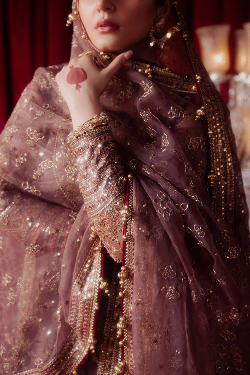 Hussain Rehar Dil Nasheen Embroidered Organza Party Wear Suit - Designer Photoshoot Gallery Angle 6 | IQNAZ Couture