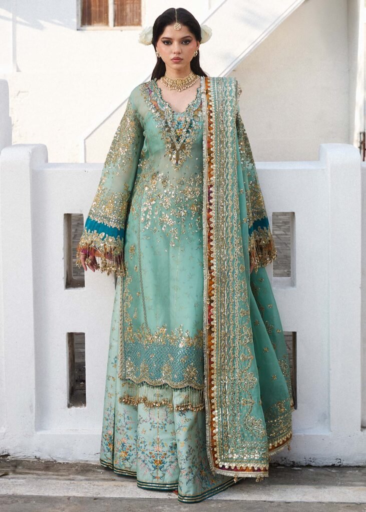 Hussain Rehar Embroidered Organza Party Wear Suit - Model Front Look | Pakistani Designer Replica Wholesale | IQNAZ