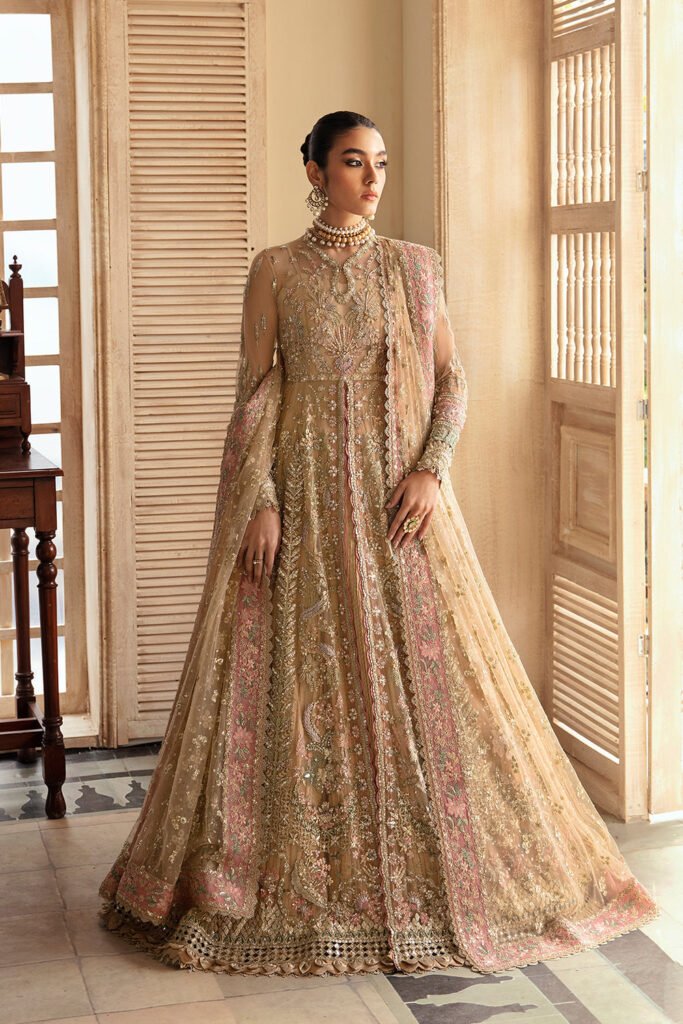 Soraya Irina Embroidered Net Party Wear Suit - Model Front Look | Pakistani Designer Replica Wholesale | IQNAZ