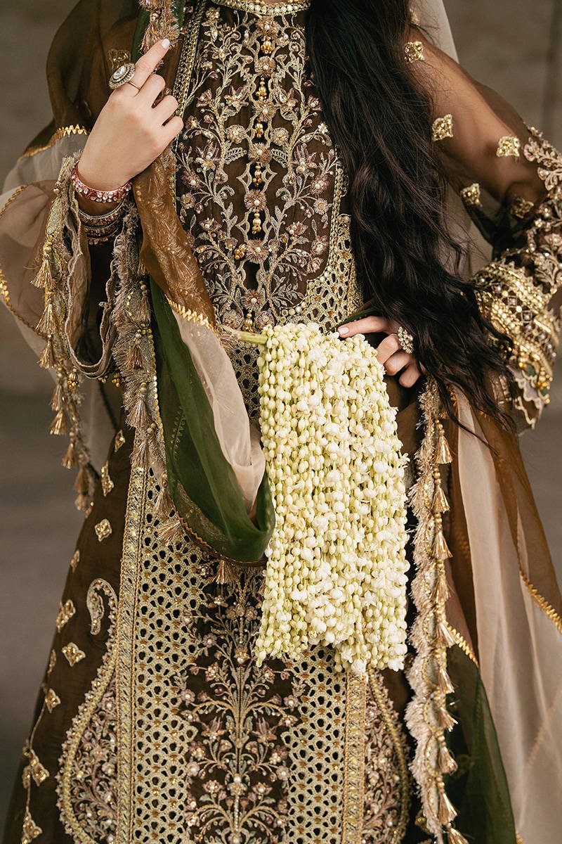 Mohsin Naveed Ranjha Tabeer Embroidered Organza Party Wear Suit - Designer Photoshoot Gallery Angle 9 | IQNAZ Couture