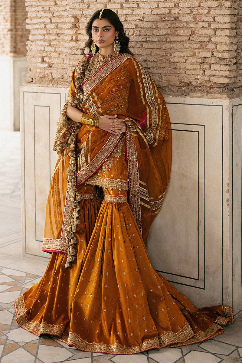 Mohsin Naveed Ranjha Ranjish Embroidered Organza Party Wear Suit - Four-Sided Embroidered Dupatta & Pallu Border | IQNAZ