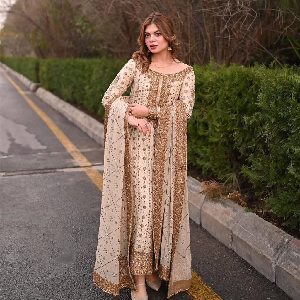 Haris Shakeel Hand Embellished Chiffon Party Wear Suit - Model Front Look | Pakistani Designer Replica Wholesale | IQNAZ