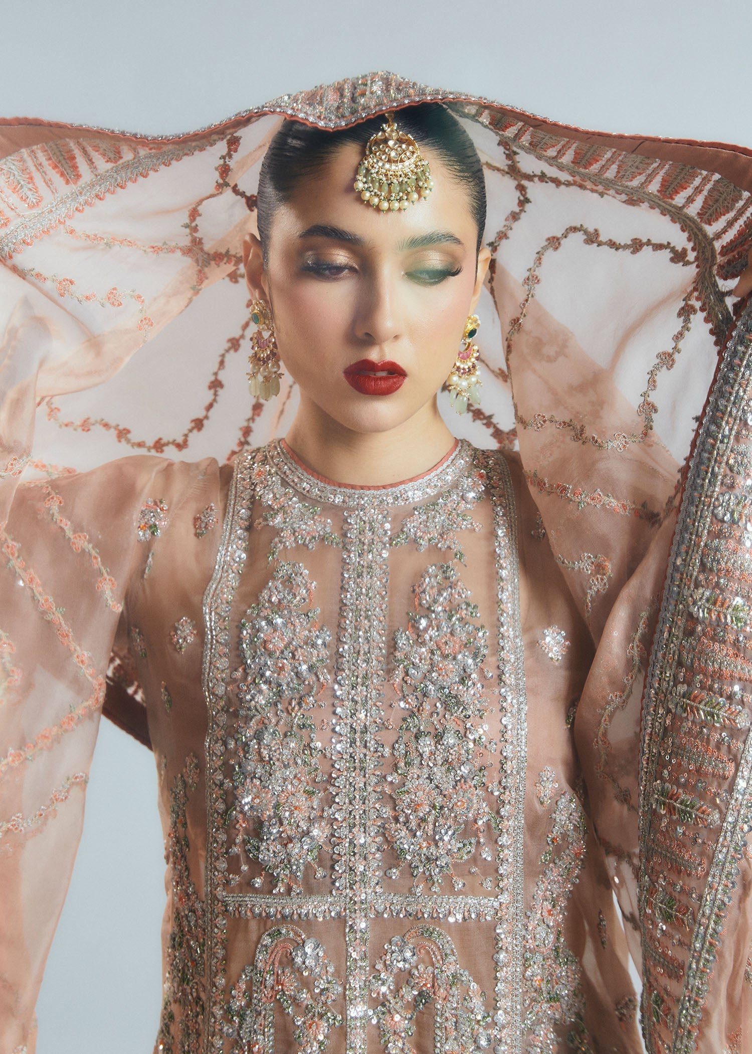 Hussain Rehar Dune Embroidered Organza Party Wear Suit - Embroidered Back & Daman Silhouette Detailing | IQNAZ
