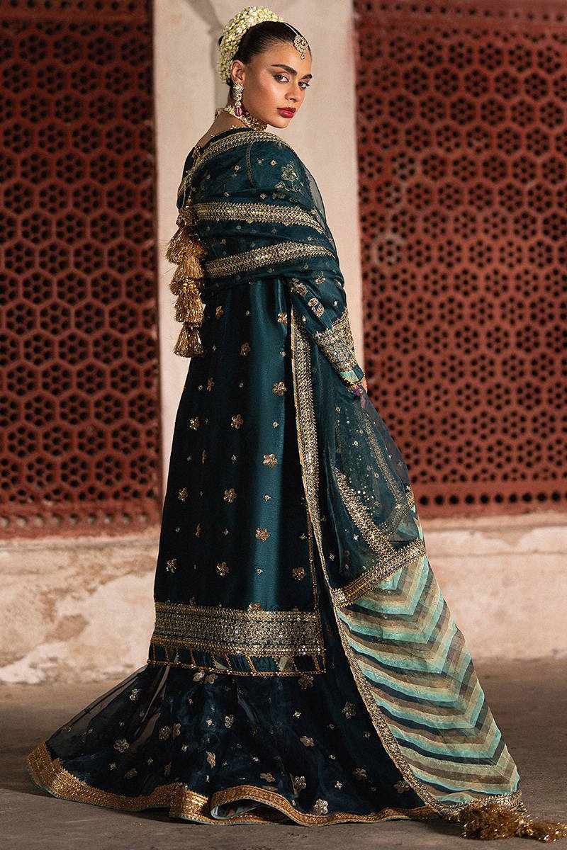 Mohsin Naveed Ranjha Lehar Embroidered Organza Party Wear Suit – Photoshoot Angle 11 Mohsin Naveed Ranjha Lehar Embroidered Organza Party Wear Suit - Designer Photoshoot Gallery Angle 11 | IQNAZ Couture