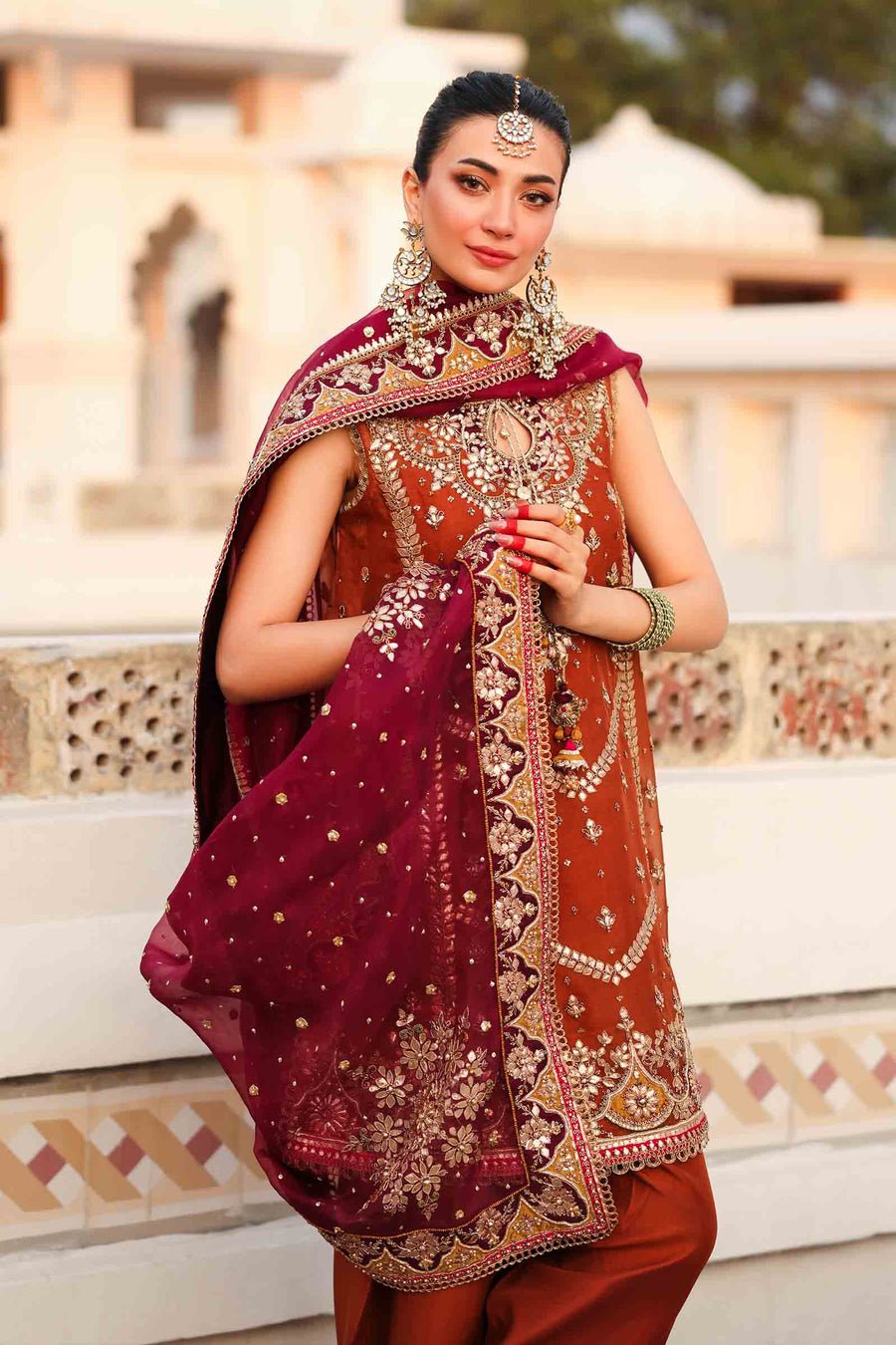 Maria B Embroidered Organza Party Wear Suit - Designer Photoshoot Gallery Angle 7 | IQNAZ Couture