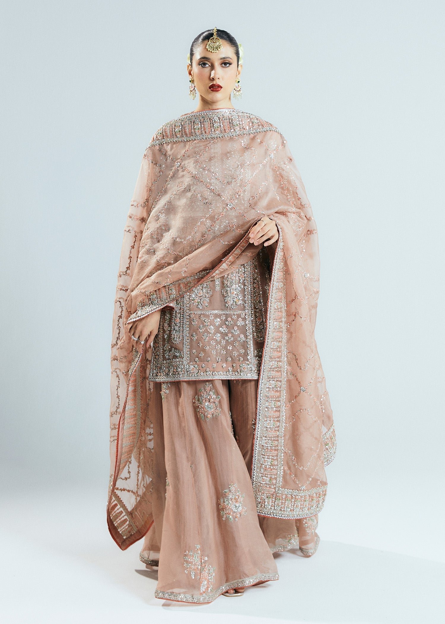 Hussain Rehar Dune Embroidered Organza Party Wear Suit - Designer Photoshoot Gallery Angle 9 | IQNAZ Couture