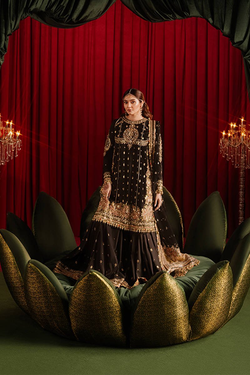 Republic Womens Wear Afreen Embroidered Organza Party Wear Suit - Four-Sided Embroidered Dupatta & Pallu Border | IQNAZ