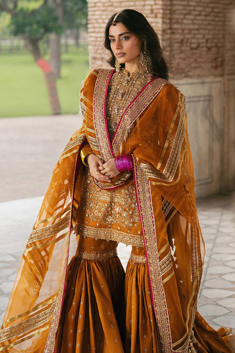 Mohsin Naveed Ranjha Ranjish Embroidered Organza Party Wear Suit - Designer Photoshoot Gallery Angle 7 | IQNAZ Couture