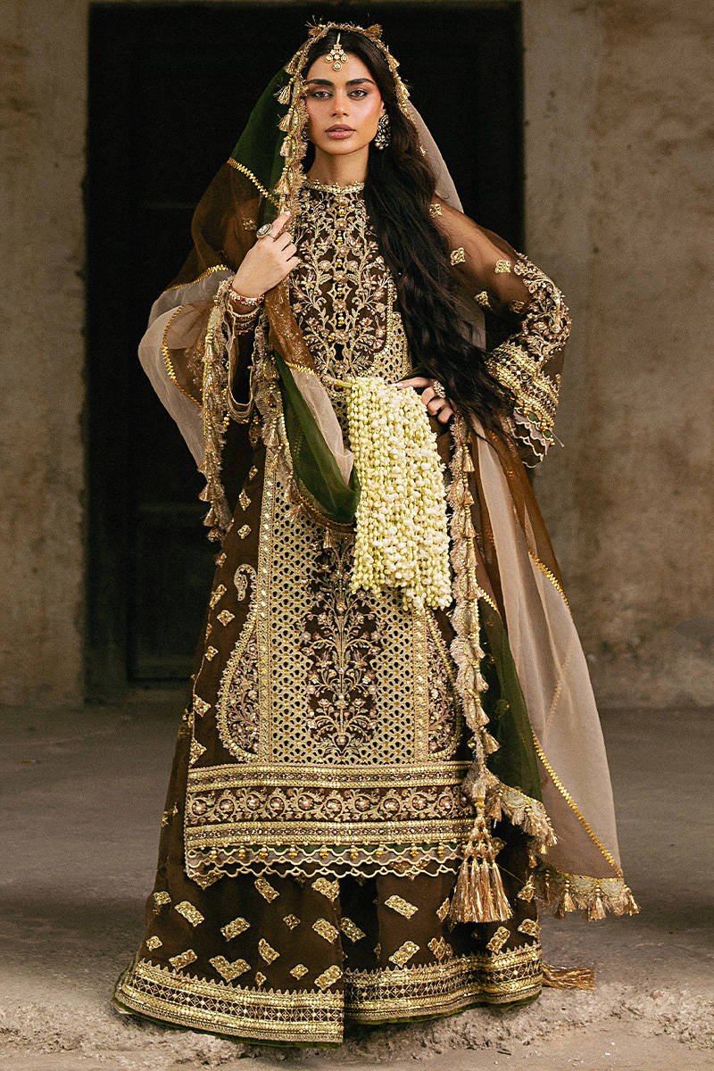 Mohsin Naveed Ranjha Tabeer Embroidered Organza Party Wear Suit - Close-Up Hand Embellishment Tilla & Pearl Work | IQNAZ