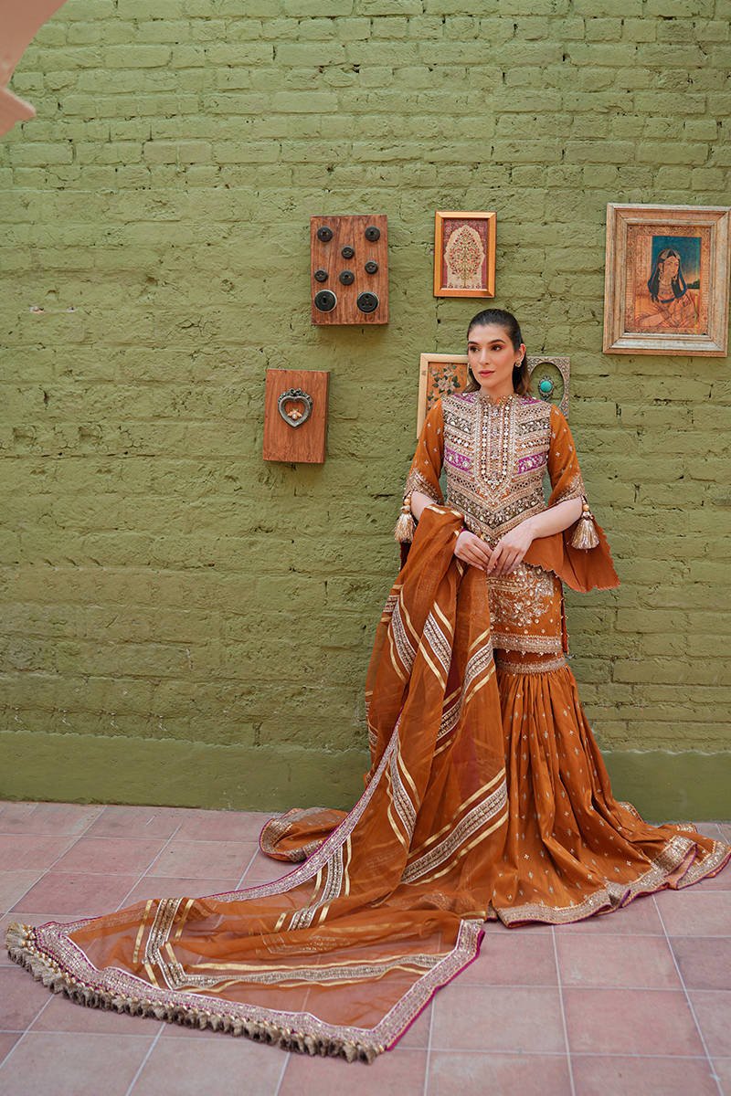 Mohsin Naveed Ranjha Ranjish Embroidered Organza Party Wear Suit - Designer Photoshoot Gallery Angle 15 | IQNAZ Couture