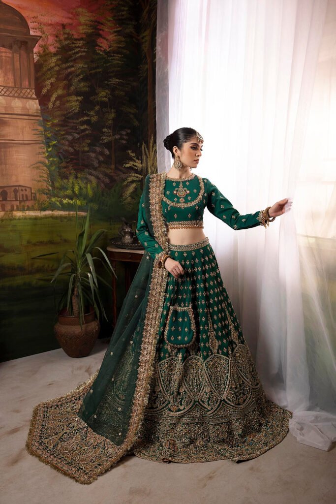 Faiza Saqlain Nuriyaa Kiara Hand Embellished Organza Party Wear Suit - Model Front Look | Pakistani Designer Replica Wholesale | IQNAZ