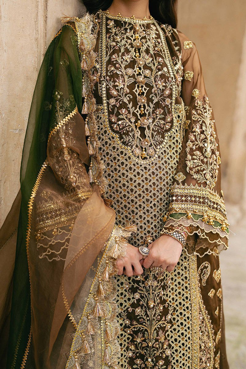 Mohsin Naveed Ranjha Tabeer Embroidered Organza Party Wear Suit - Designer Photoshoot Gallery Angle 8 | IQNAZ Couture