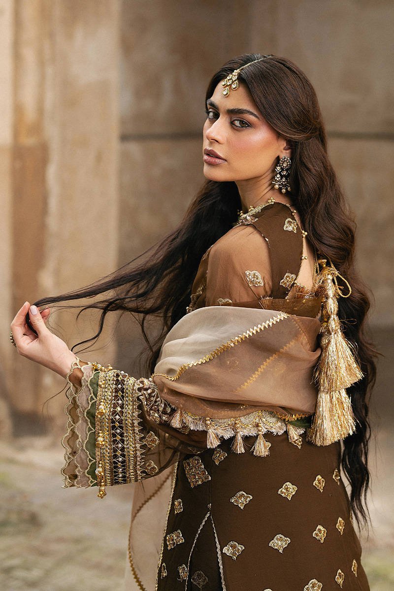 Mohsin Naveed Ranjha Tabeer Embroidered Organza Party Wear Suit - Designer Photoshoot Gallery Angle 10 | IQNAZ Couture