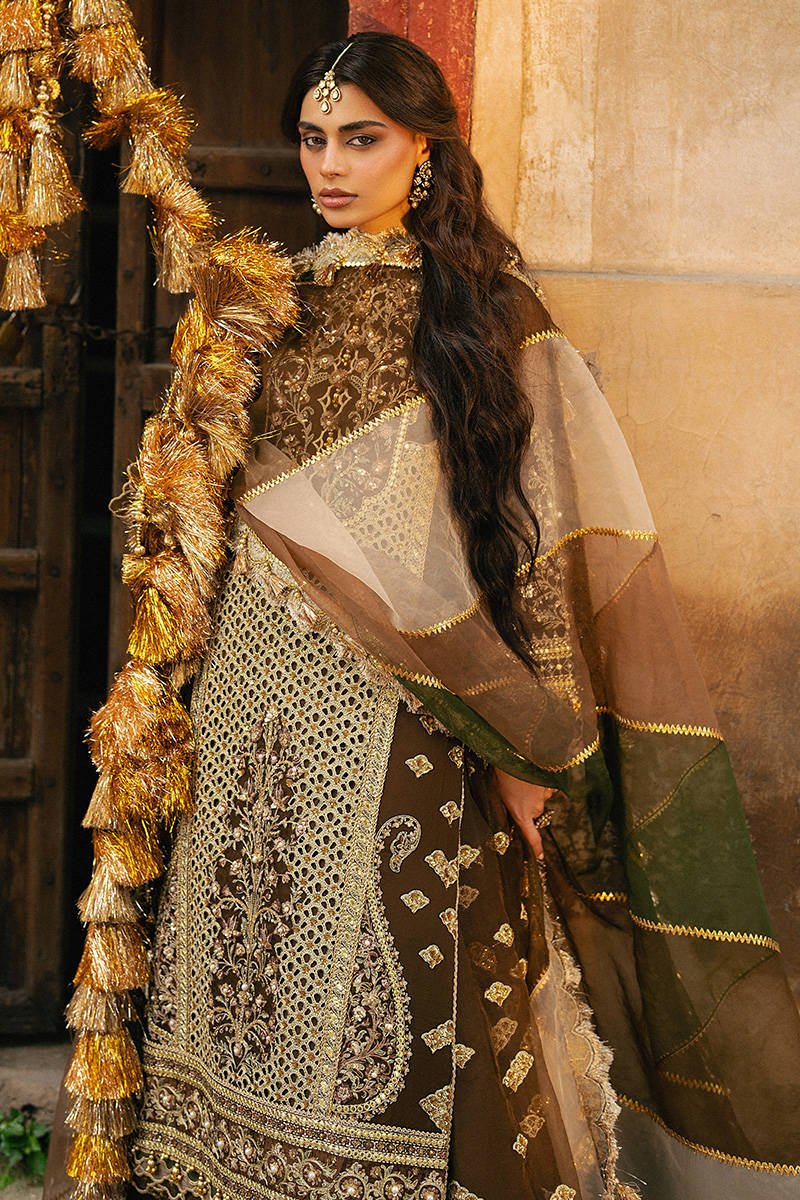 Mohsin Naveed Ranjha Tabeer Embroidered Organza Party Wear Suit - Designer Photoshoot Gallery Angle 6 | IQNAZ Couture