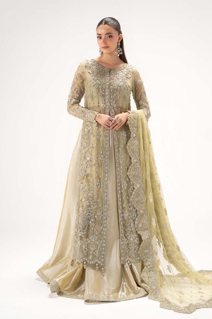 Maria B Embroidered Organza Party Wear Suit - Model Front Look | Pakistani Designer Replica Wholesale | IQNAZ