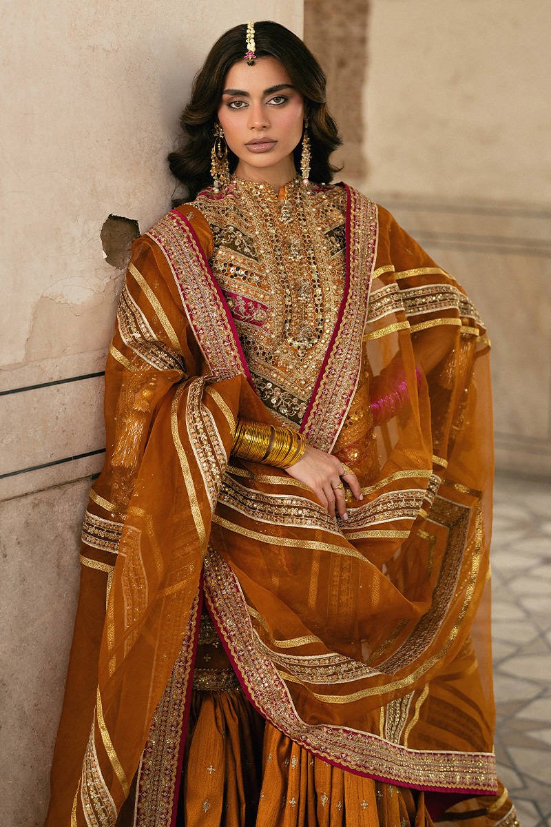 Mohsin Naveed Ranjha Ranjish Embroidered Organza Party Wear Suit - Matching Bottom & Trouser Fabric Details | IQNAZ