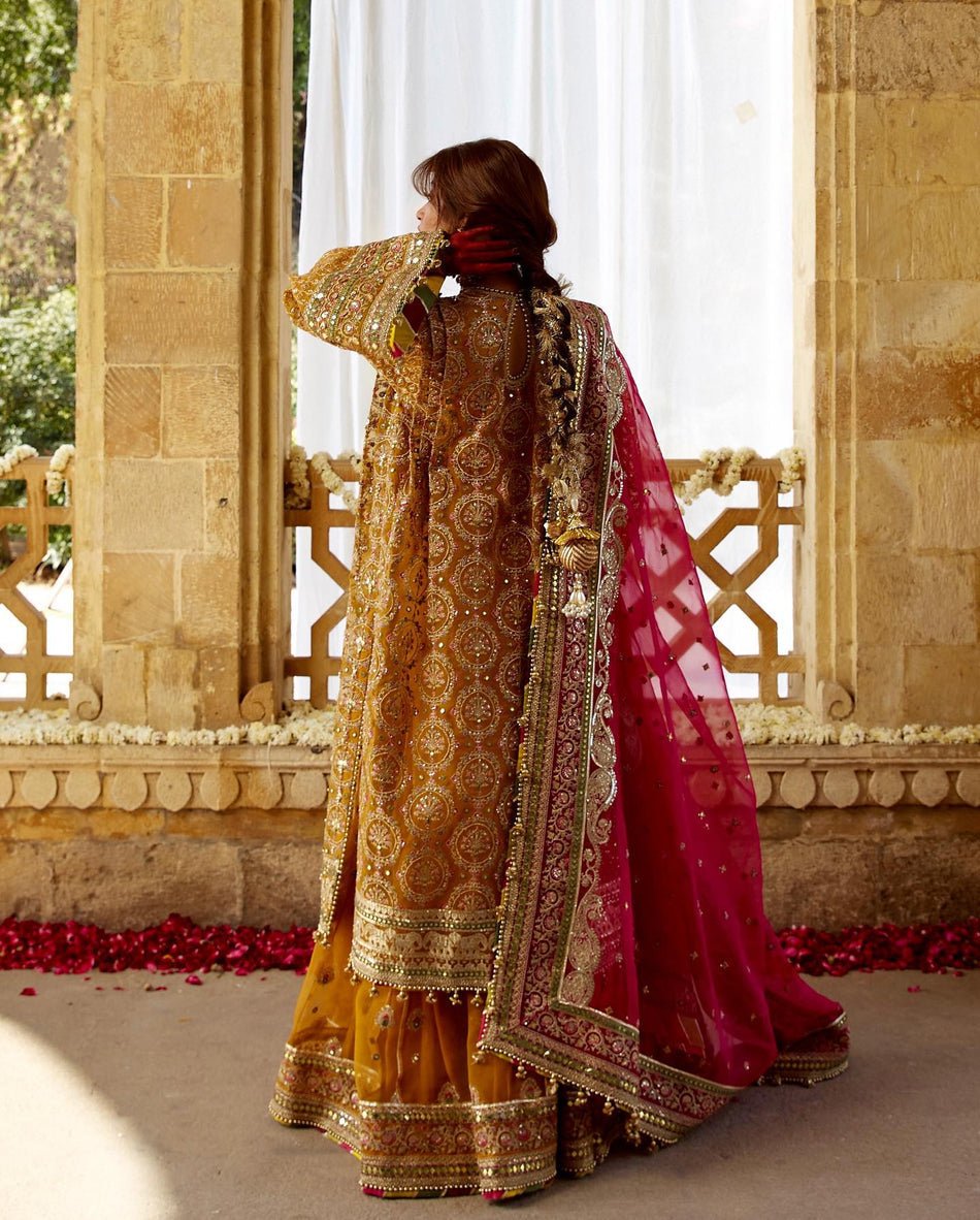 Mohsin Naveed Ranjha Sagar Kinaray Embroidered Organza Party Wear Suit - Four-Sided Embroidered Dupatta & Pallu Border | IQNAZ