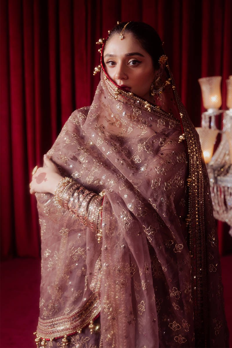 Hussain Rehar Dil Nasheen Embroidered Organza Party Wear Suit - Designer Photoshoot Gallery Angle 7 | IQNAZ Couture