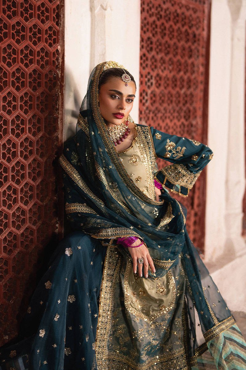 Mohsin Naveed Ranjha Lehar Embroidered Organza Party Wear Suit – Trouser & Bottom Fabric Mohsin Naveed Ranjha Lehar Embroidered Organza Party Wear Suit - Matching Bottom & Trouser Fabric Details | IQNAZ