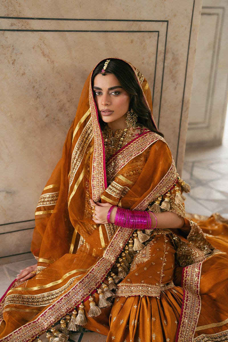 Mohsin Naveed Ranjha Ranjish Embroidered Organza Party Wear Suit - Designer Photoshoot Gallery Angle 9 | IQNAZ Couture