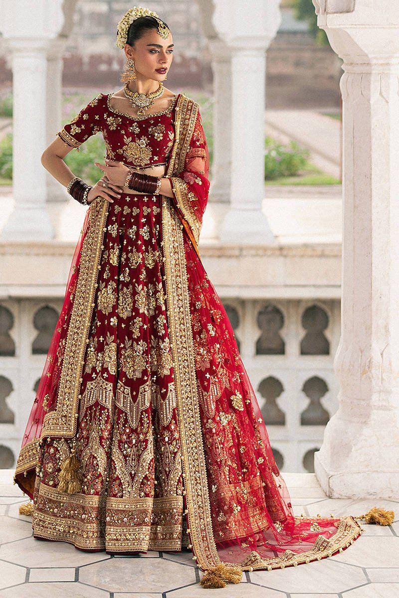 Mohsin Naveed Ranjha Bia Jaan Hand Embellished Organza Party Wear Suit - Model Front Look | Pakistani Designer Replica Wholesale | IQNAZ