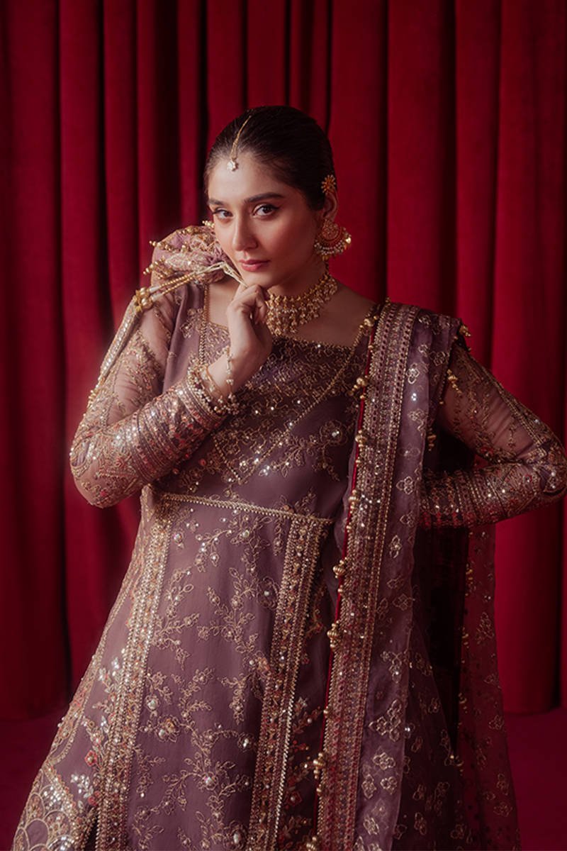 Hussain Rehar Dil Nasheen Embroidered Organza Party Wear Suit - Embroidered Back & Daman Silhouette Detailing | IQNAZ