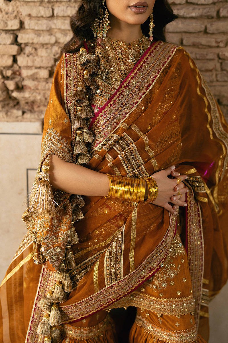 Mohsin Naveed Ranjha Ranjish Embroidered Organza Party Wear Suit - Designer Photoshoot Gallery Angle 11 | IQNAZ Couture