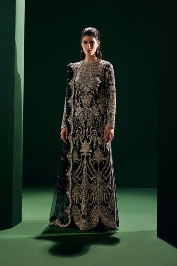 Soraya Eclat Embroidered Net Party Wear Suit - Model Front Look | Pakistani Designer Replica Wholesale | IQNAZ