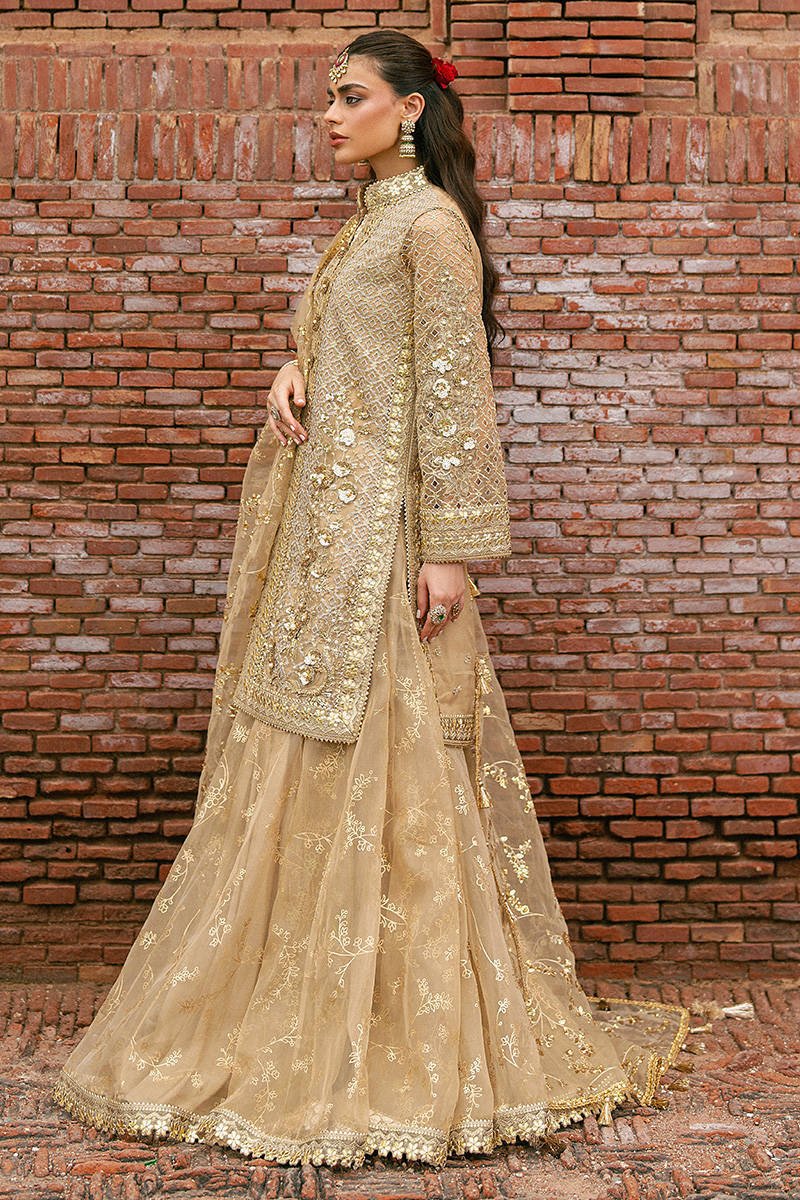 Mohsin Naveed Ranjha Roshni Embroidered Organza Party Wear Suit – Dupatta & Border Detailing Mohsin Naveed Ranjha Roshni Embroidered Organza Party Wear Suit - Four-Sided Embroidered Dupatta & Pallu Border | IQNAZ