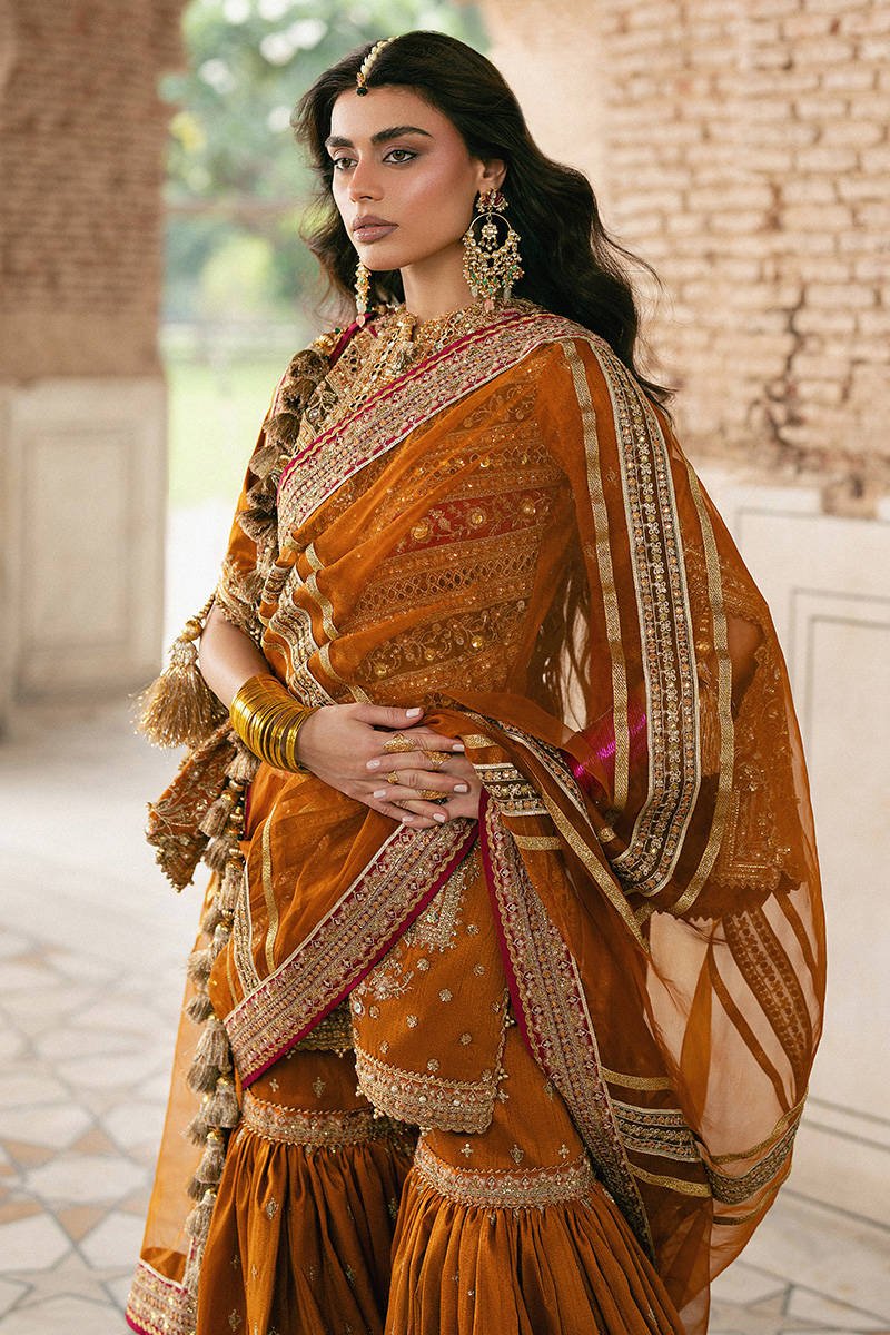 Mohsin Naveed Ranjha Ranjish Embroidered Organza Party Wear Suit - Embroidered Back & Daman Silhouette Detailing | IQNAZ