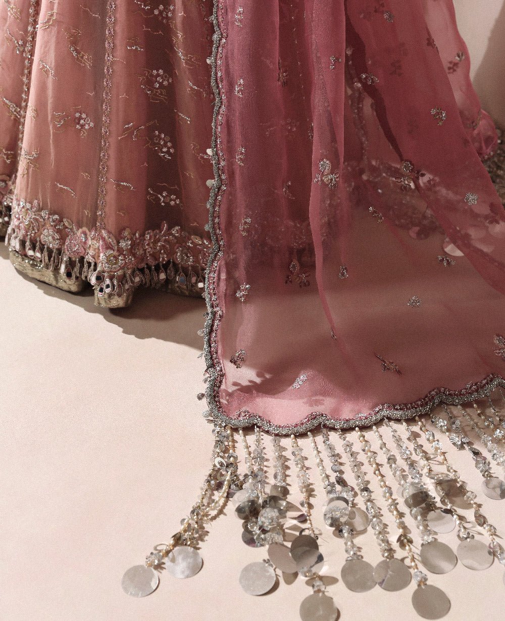 Republic Womens Wear Juliane Embroidered Organza Party Wear Suit - Designer Photoshoot Gallery Angle 6 | IQNAZ Couture