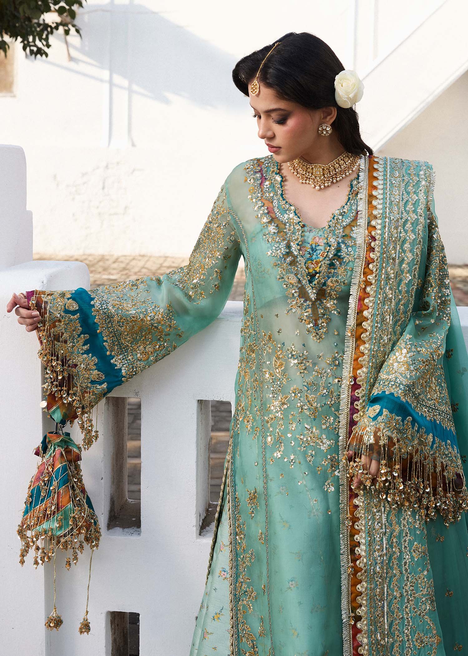 Hussain Rehar Embroidered Organza Party Wear Suit – Back View & Silhouette Hussain Rehar Embroidered Organza Party Wear Suit - Embroidered Back & Daman Silhouette Detailing | IQNAZ