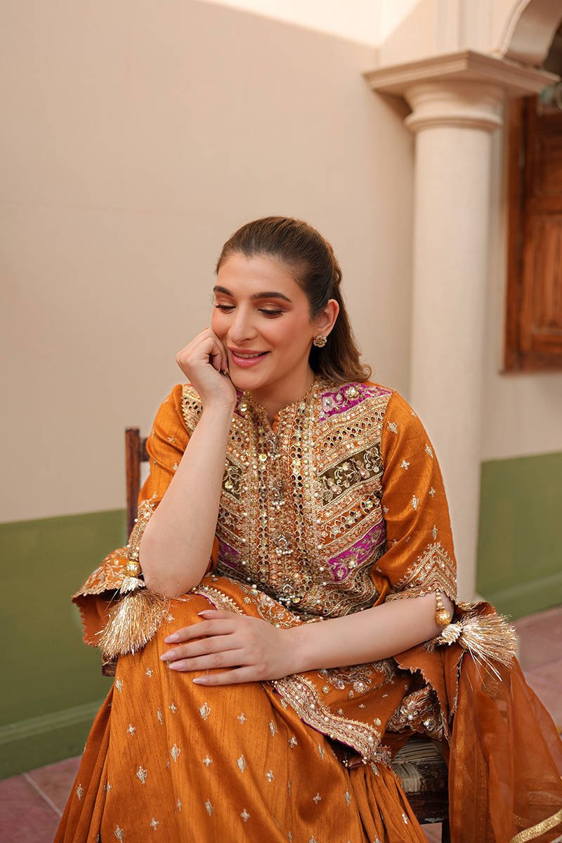 Mohsin Naveed Ranjha Ranjish Embroidered Organza Party Wear Suit - Designer Photoshoot Gallery Angle 16 | IQNAZ Couture