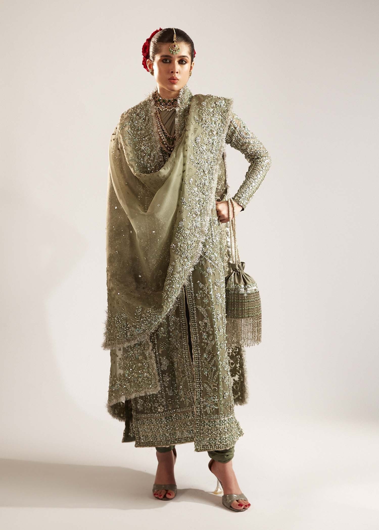 Hussain Rehar Jadeite Embroidered Organza Party Wear Suit - Embroidered Back & Daman Silhouette Detailing | IQNAZ