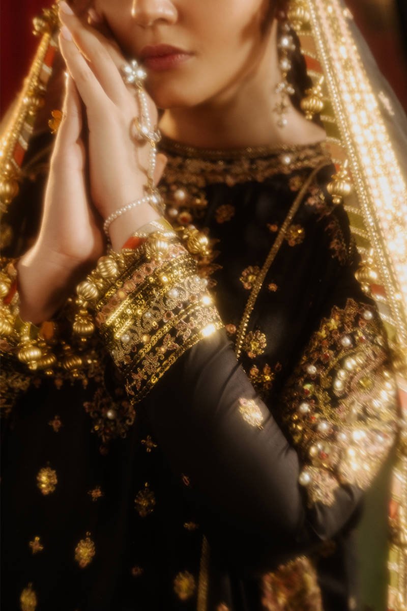 Republic Womens Wear Afreen Embroidered Organza Party Wear Suit - Designer Photoshoot Gallery Angle 10 | IQNAZ Couture