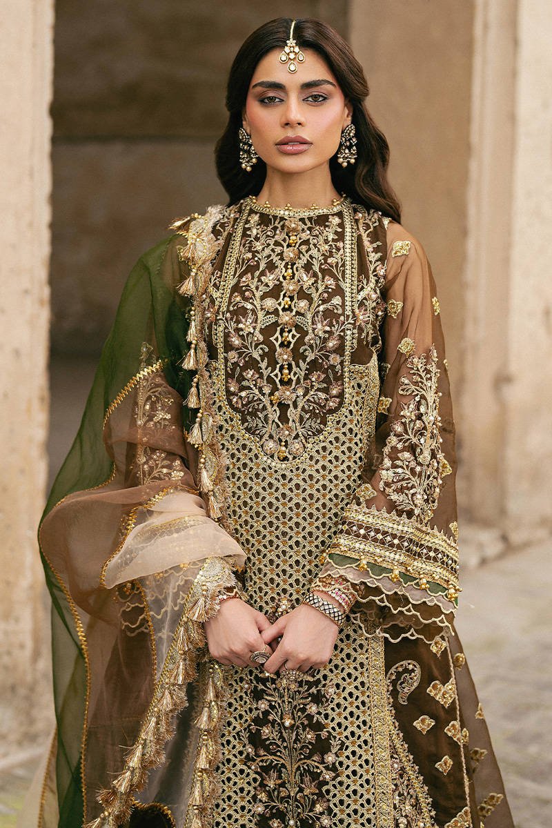 Mohsin Naveed Ranjha Tabeer Embroidered Organza Party Wear Suit - Embroidered Back & Daman Silhouette Detailing | IQNAZ