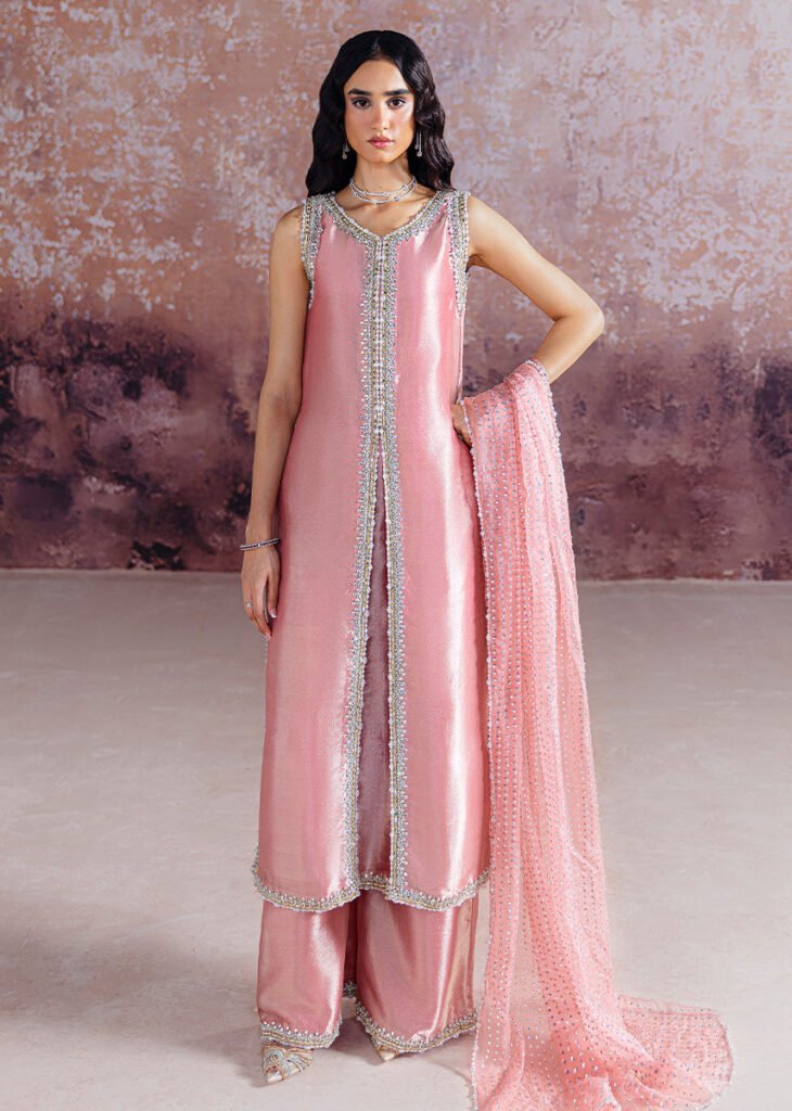 Sara Rohail Asghar Embroidered Organza Party Wear Suit - Model Front Look | Pakistani Designer Replica Wholesale | IQNAZ