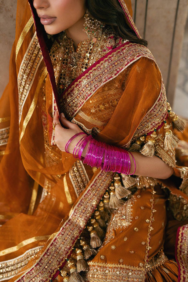 Mohsin Naveed Ranjha Ranjish Embroidered Organza Party Wear Suit - Designer Photoshoot Gallery Angle 10 | IQNAZ Couture