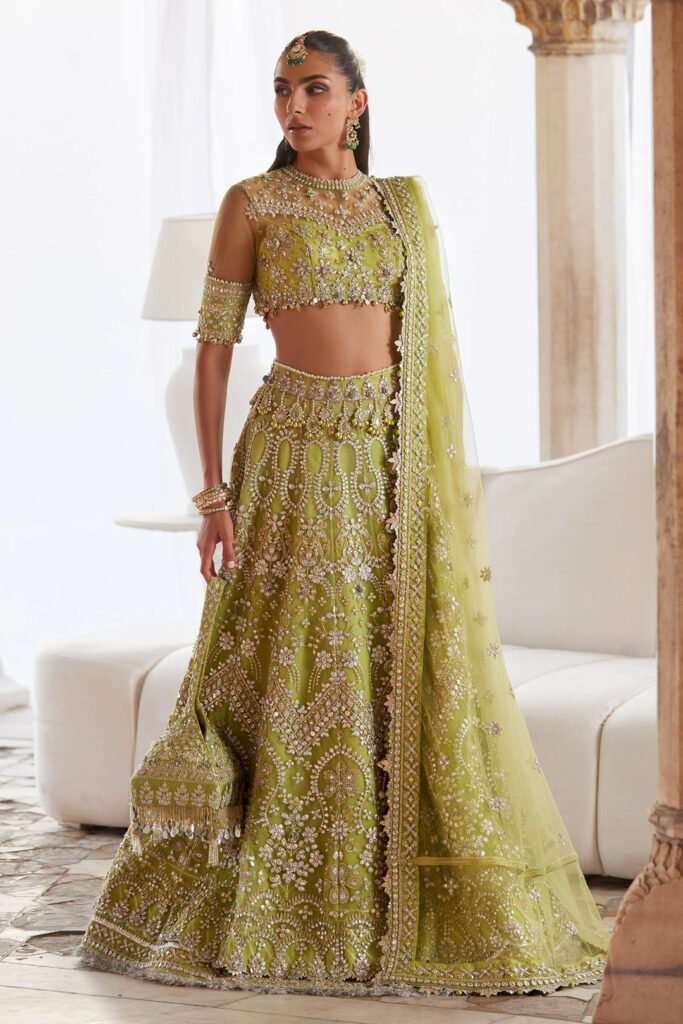 Zaha Noore Sitara Embroidered Organza Party Wear Suit - Model Front Look | Pakistani Designer Replica Wholesale | IQNAZ