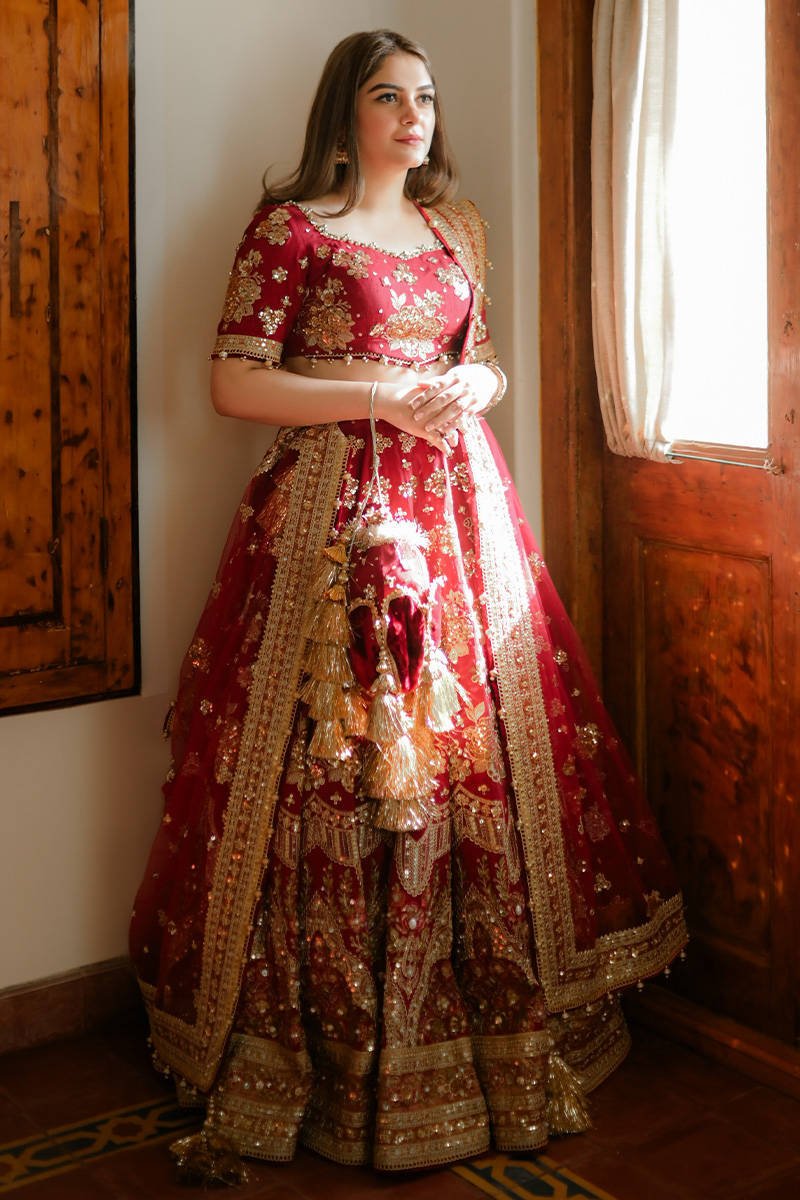Mohsin Naveed Ranjha Bia Jaan Hand Embellished Organza Party Wear Suit - Designer Photoshoot Gallery Angle 11 | IQNAZ Couture