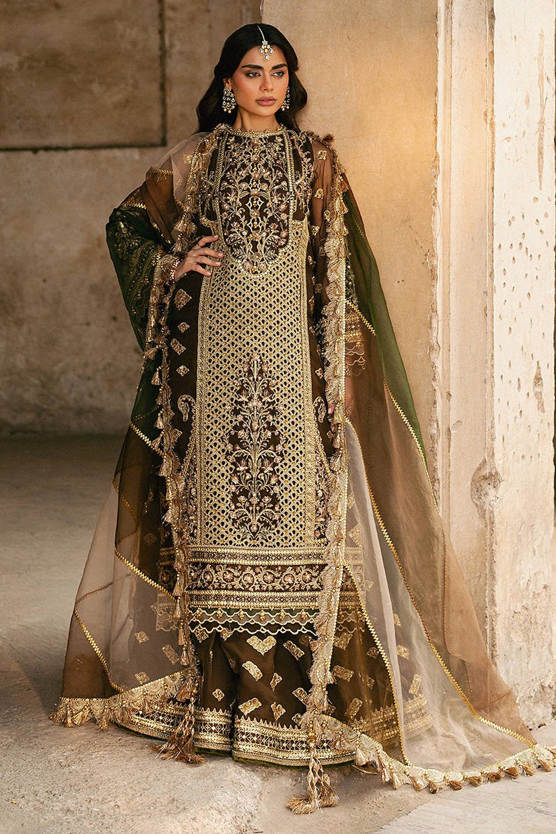 Mohsin Naveed Ranjha Tabeer Embroidered Organza Party Wear Suit - Designer Photoshoot Gallery Angle 7 | IQNAZ Couture