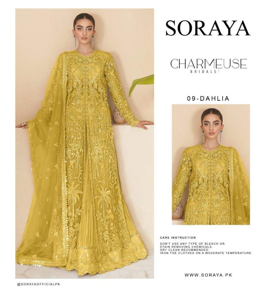Soraya Dhalia Different Embroidered Organza Party Wear Suit - Model Front Look | Pakistani Designer Replica Wholesale | IQNAZ
