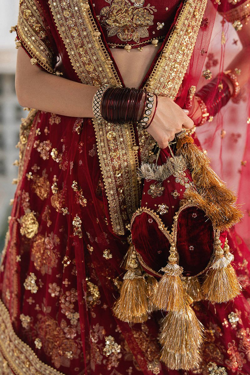 Mohsin Naveed Ranjha Bia Jaan Hand Embellished Organza Party Wear Suit - Designer Photoshoot Gallery Angle 8 | IQNAZ Couture