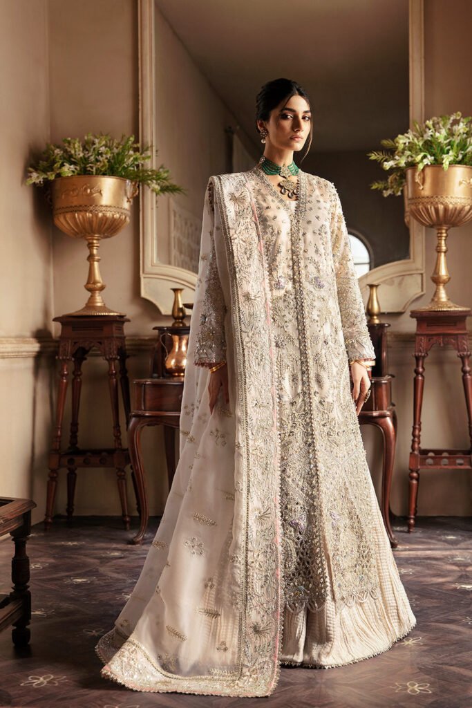 Soraya Miel Embroidered Organza Party Wear Suit - Model Front Look | Pakistani Designer Replica Wholesale | IQNAZ