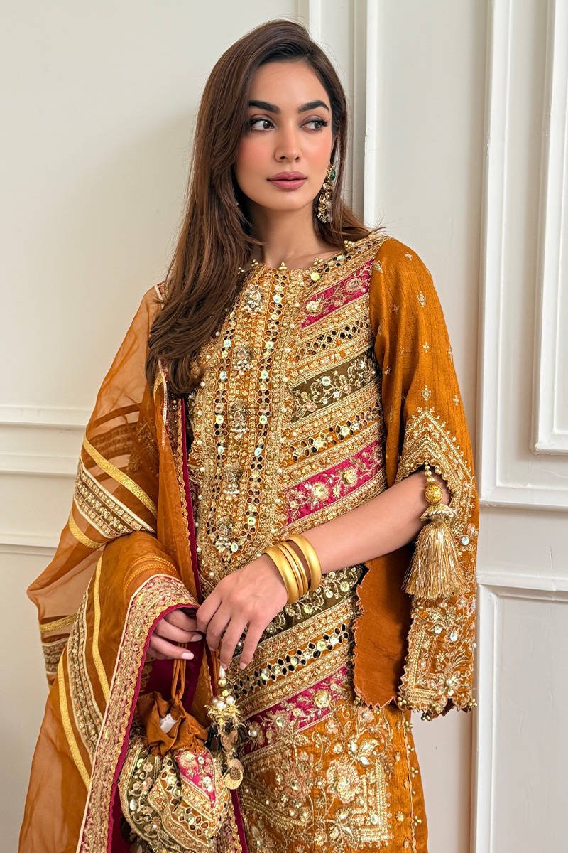 Mohsin Naveed Ranjha Ranjish Embroidered Organza Party Wear Suit - Designer Photoshoot Gallery Angle 14 | IQNAZ Couture