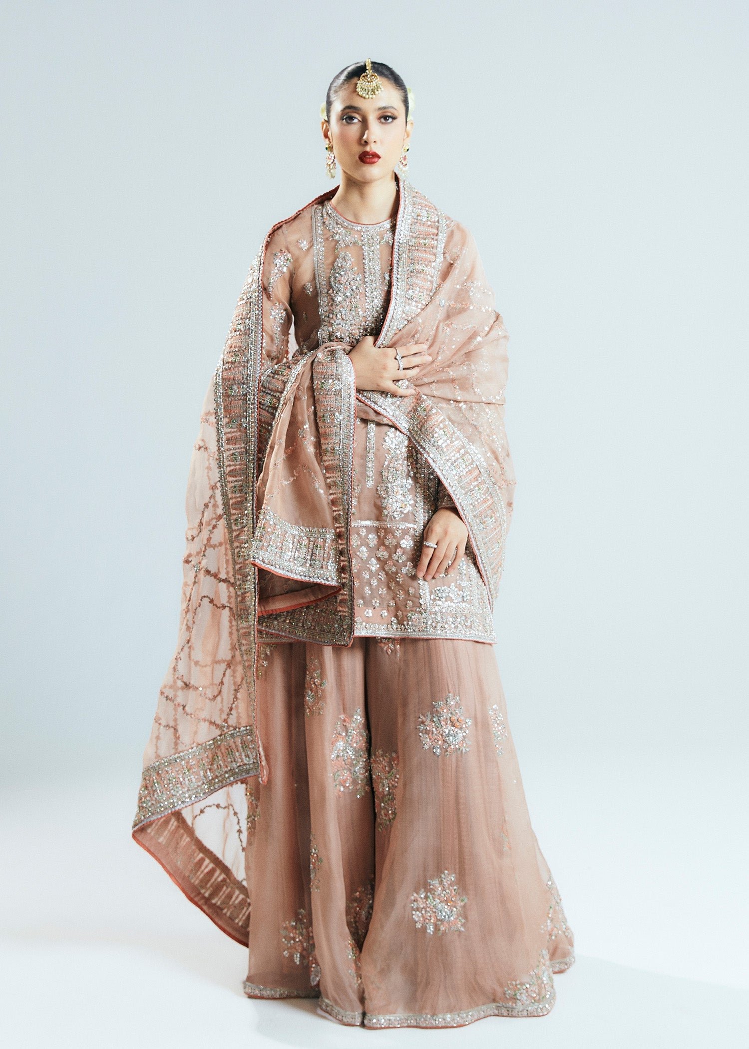 Hussain Rehar Dune Embroidered Organza Party Wear Suit - Designer Photoshoot Gallery Angle 7 | IQNAZ Couture