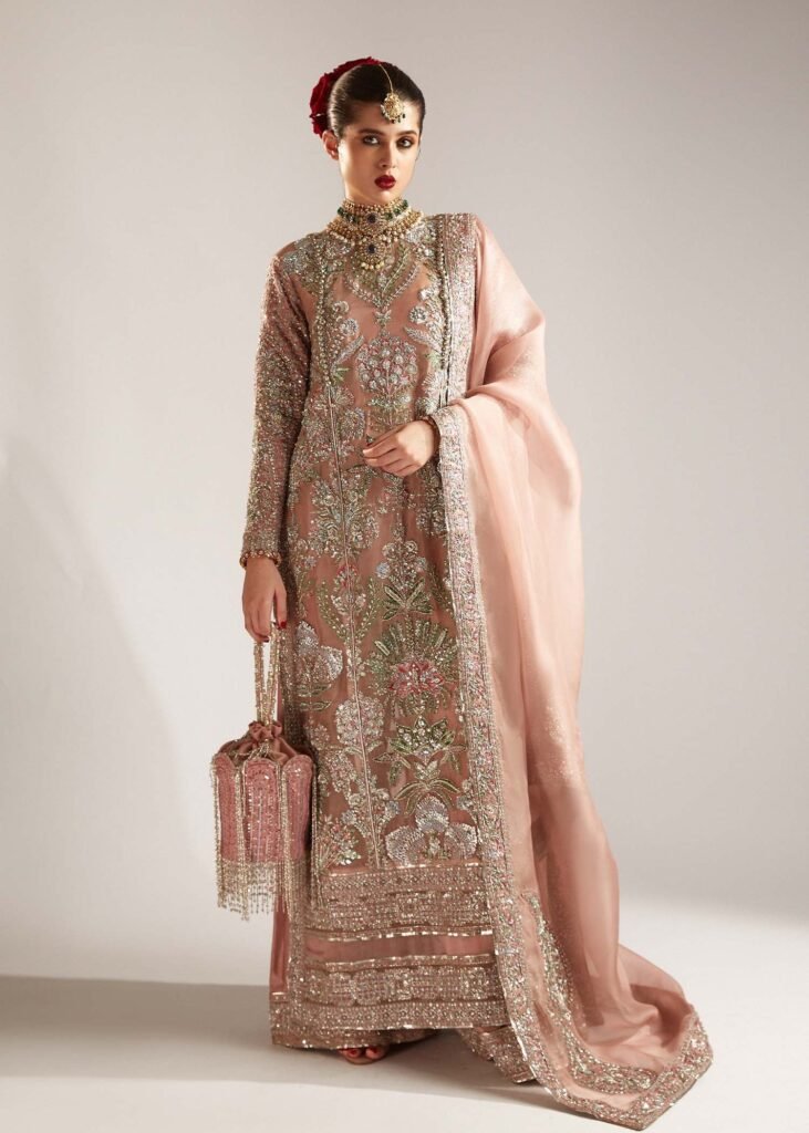Hussain Rehar Verve Embroidered Organza Party Wear Suit - Model Front Look | Pakistani Designer Replica Wholesale | IQNAZ