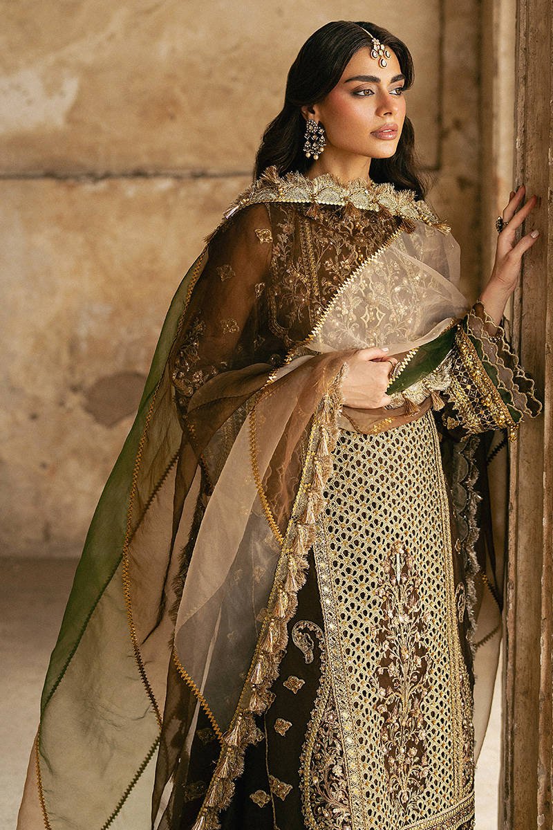 Mohsin Naveed Ranjha Tabeer Embroidered Organza Party Wear Suit - Four-Sided Embroidered Dupatta & Pallu Border | IQNAZ