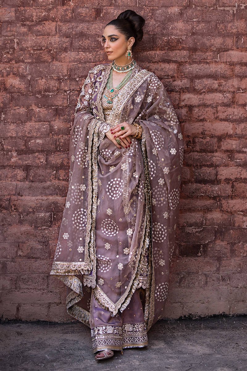 Mohsin Naveed Ranjha Talia Hand Embellished Organza Party Wear Suit – Back View & Silhouette Mohsin Naveed Ranjha Talia Hand Embellished Organza Party Wear Suit - Embroidered Back & Daman Silhouette Detailing | IQNAZ